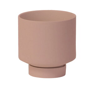 Manon Copper Rose }m [Y sN   󂯎Mt  Pim Stef