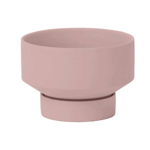 Pim Cameo Pink s sN   󂯎Mt  Stef Manon