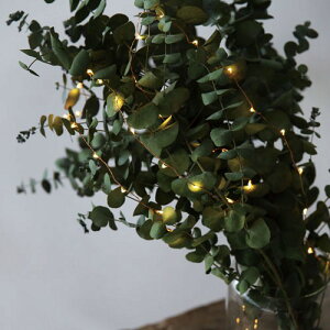 LED���C���[���C�g �u�����N10m�y�����ȗ�����΂̂悤�ɋP��LED���C�g�z���� �f�R���[�V���� �C���e���A �f�B�X�v���C USB�Ή� �N���X�}�X �N���X�}�X���W