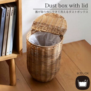 Dustbox with lid WOłĐ􂦂_Xg{bNX S~ Wt [JS |vs OK CeA
