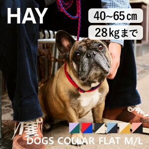 �y�}���\�����Ԓ��|�C���g5�{�z���K�i HAY DOGS COLLAR FLAT M/L �w�C �h�b�O�X�J���[�t���b�g ���p��� �y�b�g�p��� �o�b�N���t�� ���p�A�N�Z�T���[ �h�b�O�A�N�Z�T���[ ���^�� ��^�� 2603SS