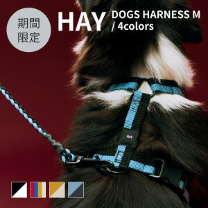 yHAY POP-UPԌzKi HAY DOGS HARNESS M / 4collars wC hbOX n[lX  p  pn[lX ybgObY U ybgpi 񂿂 UObY łObY k 