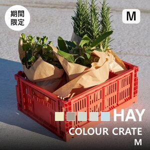 _BLACK FRIDAY |Cg5{^yHAY POP-UPԌzKi HAY COLOUR CRATE M J[ N[g X^bLO ܂肽  fXN[ [ [{bNX fXN 㐮 [ V[Y