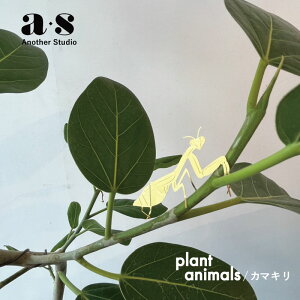 y}\|Cg2{zAnother Studio plant animals / J}L AiU[X^WI vgAj} I[ig O[IuWF  ApANZT[ ChAO[ANZT[ 