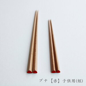 y11/11܂Ń|Cg2{z[֑Ώ graf Op ui  qp Z ͂  ₷  Jg[ Mtg qH v[g 蕨