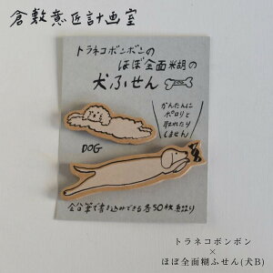 [֑Ώہyq~ӏv掺zglR{{ قڑSʌЂӂ (B) e50Ԃ t [   ObY ʎG CkD  q