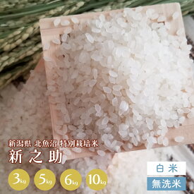 ＜新米＞令和5年産 北魚沼 新之助 3kg 5kg 6kg 10kg 白米 無洗米 新潟県産 国産 母の日 父の日 お中元 ギフト 無洗米 お土産 お取り寄せ 銘柄 お試し 手土産 返礼品 誕生祝い 高級 御祝 おうちごはん 送料無料