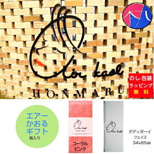 []GA[Mtg _fB{[C tFCX ^IiR[sNj1 [Q] { ݁