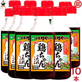 送料込み 鶏ちゃんのたれ しょうゆ味 10本入【イチビキ】 (55664）第8回JSH減塩食品アワード地域貢献特別賞受賞 飛騨・美濃地方発祥の郷土料理