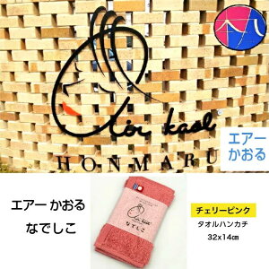 GA[ Ȃł i`F[sNj1 [Q] {  ^InJ`