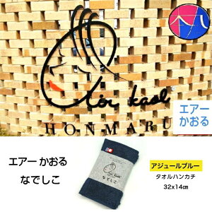 GA[ Ȃł iAW[u[j1 [Q] {  ^InJ`