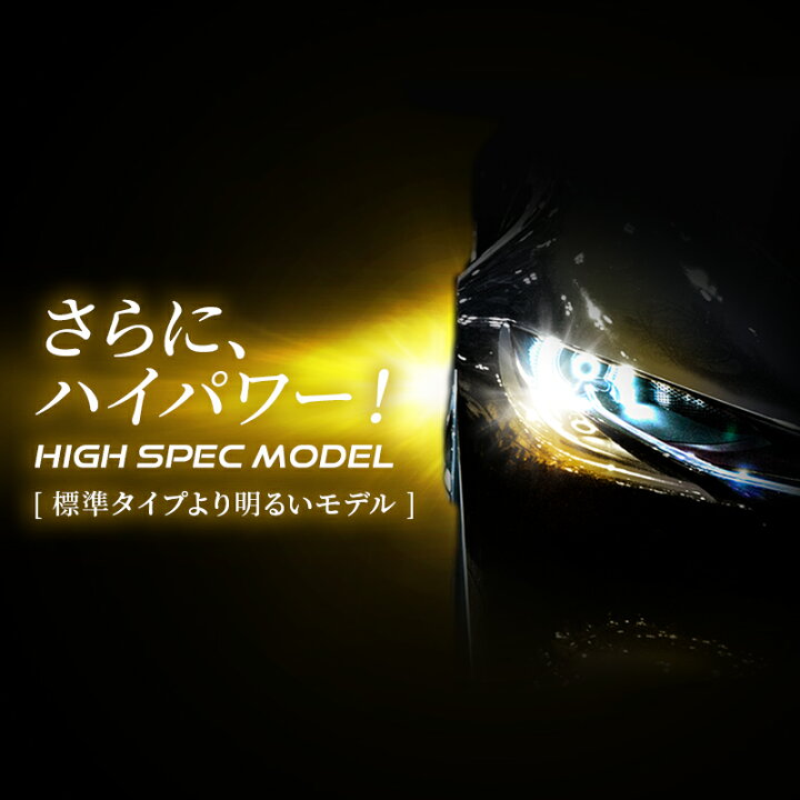 楽天市場】【要エントリー！6月1日限定☆当選確率1/2最大100%ポイント  