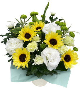 zB 14Y   ފ  AWg  蕨  @ @v ip ~ ~  Ȃ Mtg AW t[Mtg  Ԍ Ђ܂