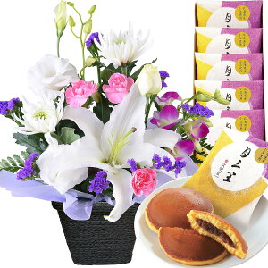 zB 14Y   ފ َq  ʕ [[   AWg  蕨  [\N  ǂĂ  @ @v ip ~ ~ Mtg A