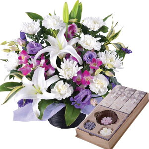 zB 14Y   ފ Zbg  Zbg  AWg  蕨 {  [\N F  @ @v ip ~ ~  Ȃ M