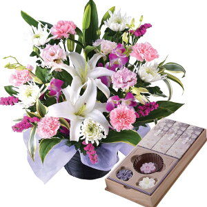 zB 14Y   ފ Zbg  Zbg  AWg  蕨 {  [\N F  @ @v ip ~ ~  Ȃ M