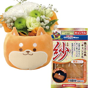 zB 14Y ybg      AWg  AW [\N  ފ ~ @ @v ip 蕨  Ȃ Mtg t[Mtg ɂɂ