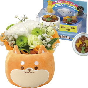 zB 14Y ybg      AWg  AW [\N  ފ ~ @ @v ip 蕨  Ȃ Mtg t[Mtg ɂɂ