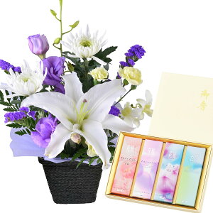 zB 14Y   ފ َq Zbg   AWg  蕨  l {  J}Lh [\N   @ @v ip 