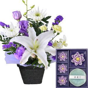 zB 14Y   ފ َq Zbg   AWg  蕨  l {  J}Lh [\N   @ @v ip 