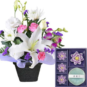 zB 14Y   ފ َq Zbg   AWg  蕨  l {  J}Lh [\N   @ @v ip 