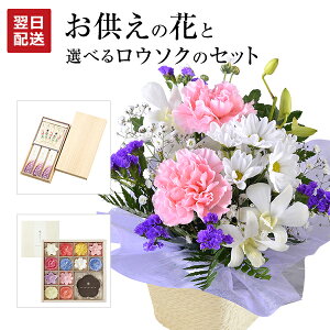 zB 14Y   ފ Zbg  Zbg  AWg  蕨 {  G[\N }} [\N  @ @v ip ~ ~  
