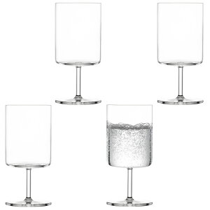 yzcB[[ zwiesel h / EH[^[ 440ml 119902 H@Ή hCci2 / 4Zbgj