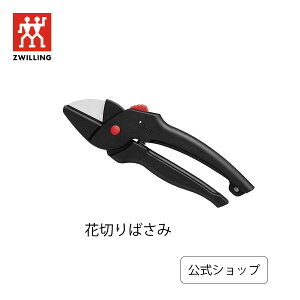 yz cBO Ԑ؂oT~| ZWILLING cBO J.A. wPX ͂ nT~     K[fjO