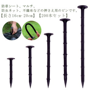 s Y 20cm 16cm 200{Zbg hV[gp B TV[gs sDz }Y s V[g hV[g Œs h lH V[g Œ ߋ Œps hV[g