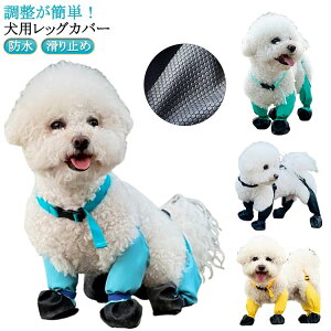 Xy_[tppc  EȂ h~ ~ MX Cpc TXy_[t  h Ol{pc ی ~J pu[c pbOJo[ ߉\ 