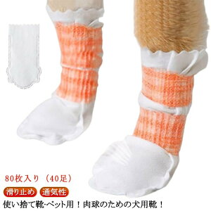 ̉h~ y80z hbOu[c ĝ 40 y80z pC pC ی C _炩 ʋC sDz Lp y tbgJo[ C ybg ~ C Jo[ p 