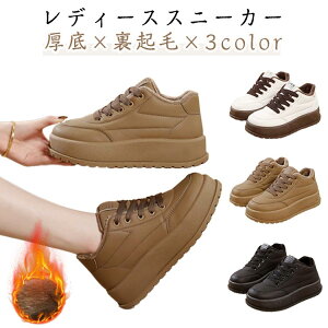  Xj[J[ C fB[X y N  EH[LOV[Y _bhXj[J[ r ₷ ɂȂ JWA y ʋ ʊw W[ X|[c H~p 22.5`25