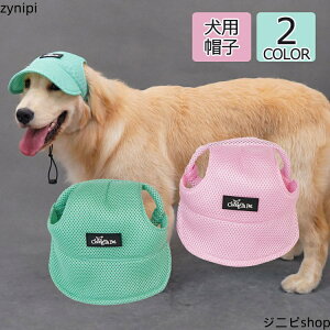 Xq hbO Lbv  ToCU[ pi nbg EFA Oh~ ybg 蕨 p 쌢 oXq  킢 AEghA ybgXq v[g Mt