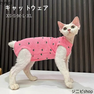 LbgEFA t  n[g͗l ʋC  _炩 畆ی Lp p㕞 ی rߖh~ ĕ Ȃ xXg Lp L m h ΍ ۉ g  [EGA 