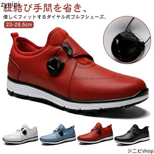 fB[X StV[Y _CA StV[Y h Y XpCNX Xj[J[ h  St C KC y X|[cV[Y \tgȗSn _炩 ~ 