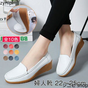 [t@[ pvX {v [t@[ fB[X l q[ ɂȂ Ȃ JV fB[X  tbgV[Y Xb| T_ {v _炩 ₷ }}V[