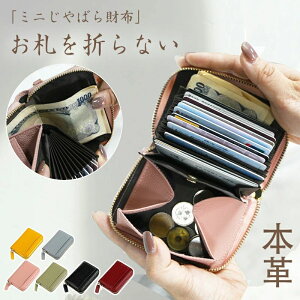 ~jz ~jEHbg Y fB[X {v D܂Ȃ ^  X g₷ RpNg J[h z ܂ z t@Xi[ ΂ K 