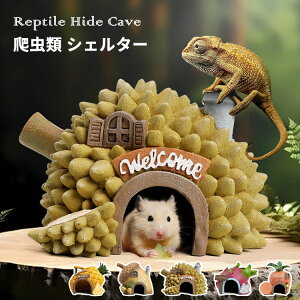 ঒ VF^[ B A nEX ّ J  p  I[ig  u gJQ C nEXVF^[   B T Mы ANZT[ nX^