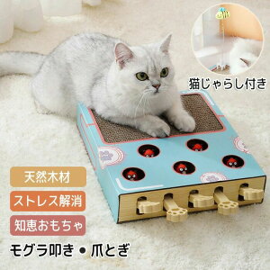 L @ ˂ ܌ L炵 lV L ߋ LV Lp@ 5 m炨 ^s XgX 킢 Lpi ybgObY lY~