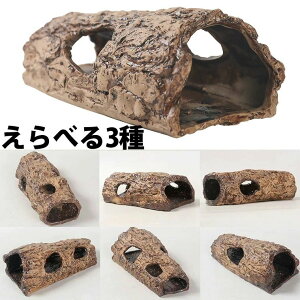 まるでアニメの世界 雰囲気が出る 海底トンネル 岩 水槽 隠れ家 アクアリウム 隠れ家 熱帯魚 シェルター 爬虫類 小動物 苔リウム 多肉 インテリア たまご オブジェ お家 可愛い かわいい お