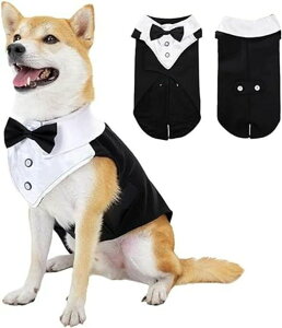 X[c  m ^LV[h ^ ^ am  Č _bNX S[fgo[ sbgu uh[ lN^C nEB NX}X  ϐg