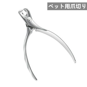 ybgܐ؂ XeX ܐ؂ L ^   ߂ ybg܂ lCPA S  XeX SS g₷