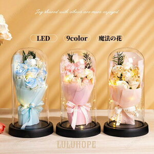 vU[uht[  o 3/7 ԑ ͂Ȃ LEDCg o^C zCgf[ ̓ w  LO Mtg v[g  p[eB[ NX}X j VN 