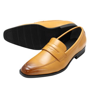 rWlXV[Y 2Zbg vC Y IbNXtH[htB[h2025NVi yʃrWlXV[Y Q̃RXgptH[}X Y A ꂢ RXp  ݌Ɍ AEg