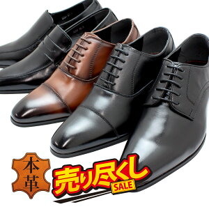 {v VbNȍ rWlXV[Y Y L 3E 20 30 40 50 60 uh WFfB LOTCY 傫TCY v[gD Xg[g`bv [t@[ ov ubN