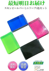 4FZbg XLs[o[ ~j\[v 15g     nChLm[ eB[gD[ AHA AHA}Ch T\bg Skin Peel Bar
