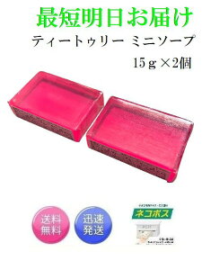 2�Z�b�g �X�L���s�[���o�[ �~�j�\�[�v �� �e�B�[�g�D���[ 15g×2�� Skin Peel Bar �T���\���b�g