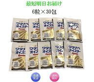 ワタナベオイスター 6粒×30袋 活性型牡蠣肉エキス 亜鉛 ミネラル サプリ 携帯用 180粒