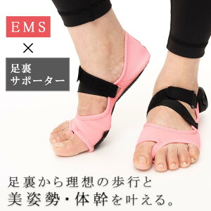  ems A[` nCubhA[` y܂ A[`T|[^[ O p Ε G fB[X _CGbg ӂ͂    r