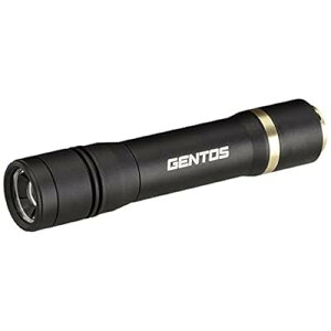 �����d�� LED���C�g �[�d��(��p�[�d�r) ���� 500���[���� ���N�V�[�h RX-285R �n���f�B���C�g �t